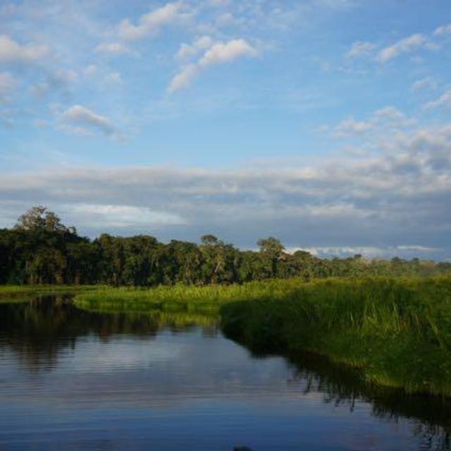 The Nature Conservancy Donation