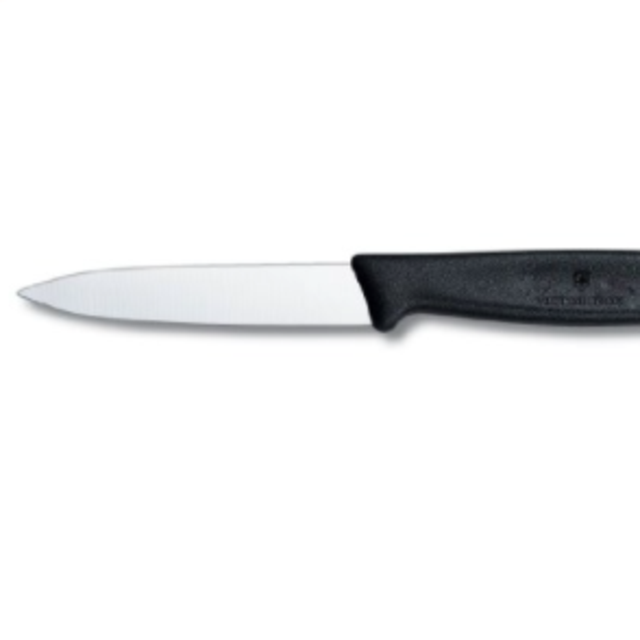 Victorinox Swiss Army 3-1/4-Inch Fibrox Straight Edge Paring Knife, Black