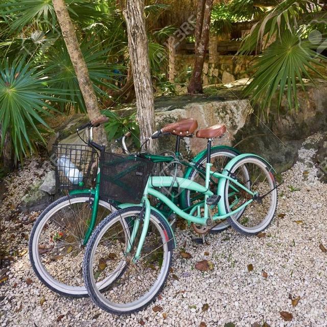 Alquiler de Bicicletas