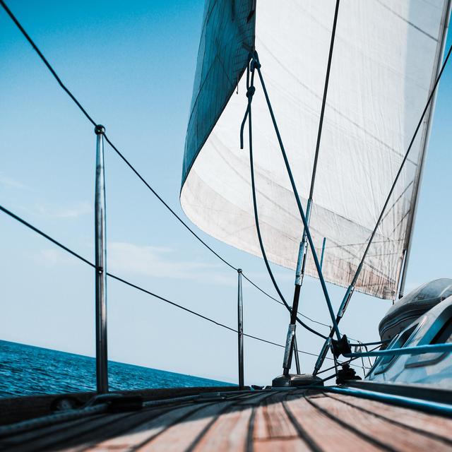 Excursión en Catamarán