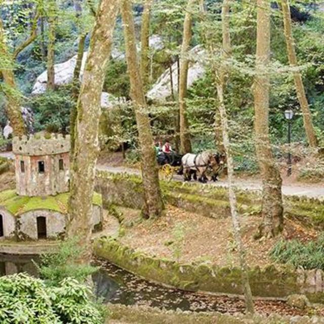Carriage Ride at the Park of Pena