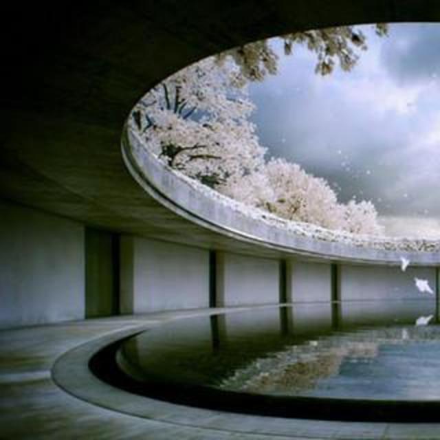 Japanese Dream Honeymoon Fund