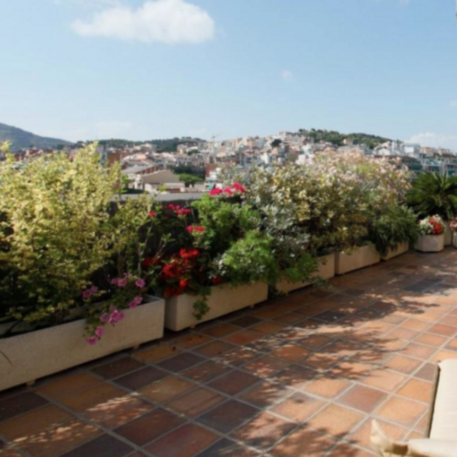 Terrace Garden-- Venmo Option