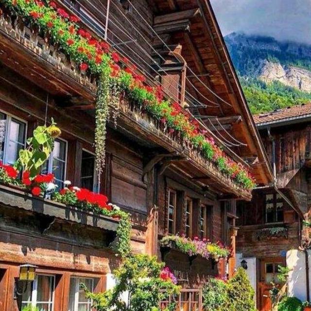 Swiss Alps Grindelwald Lauterbrunnen Interlaken
