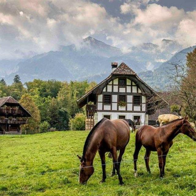 Ballenberg Swiss Museum in Switzerland