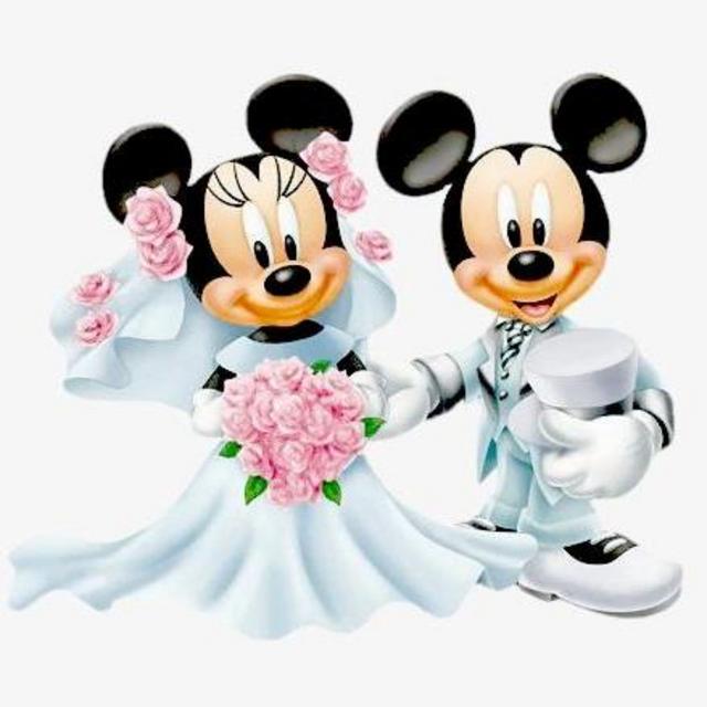 Newlywed Disney Experience
