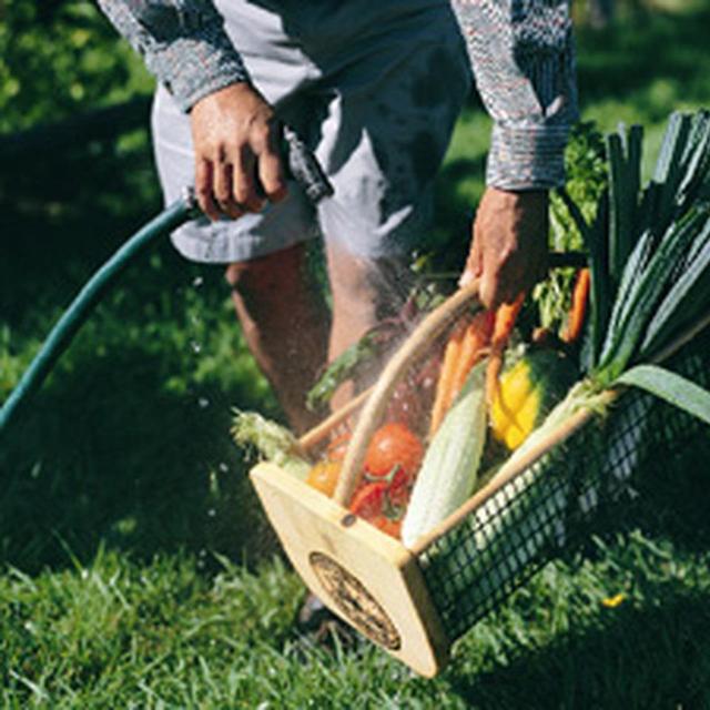 L'il Maine Garden Hod