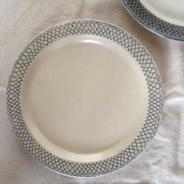 Fish plate 2