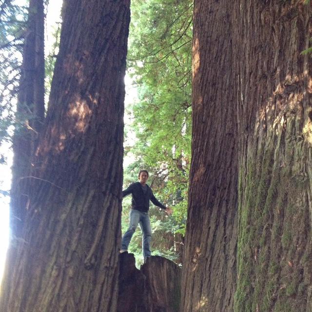 Adventures