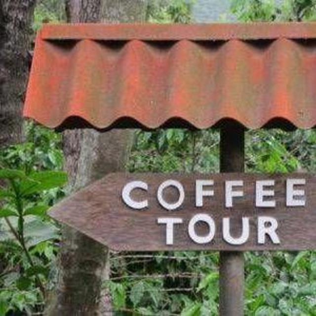 Coffee Tour