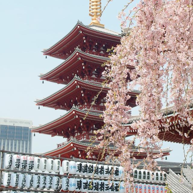 Japan Honeymoon Fund