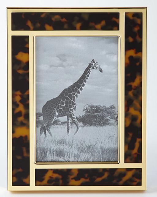 Jonathan Adler Tortoise 4" x 6" Frame