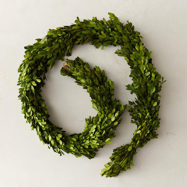 Preserved Boxwood Garland