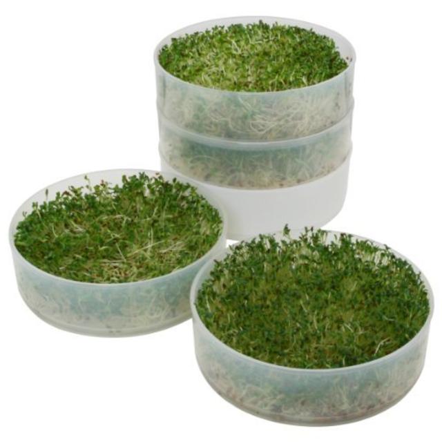 VICTORIO VKP1014 Four-Tray Kitchen Crop TM Sprouter