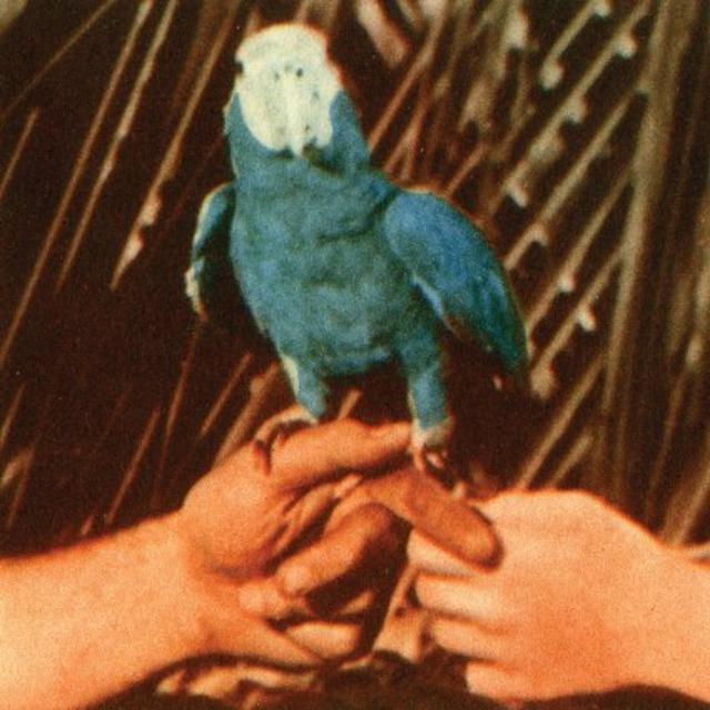 Andrew Bird: Are You Serious - Vinyl
