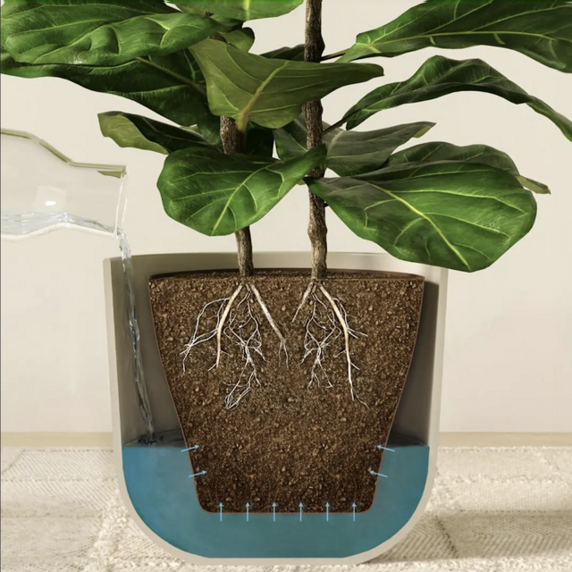 EasyPlant