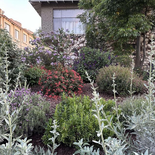 Sarah's Gardening