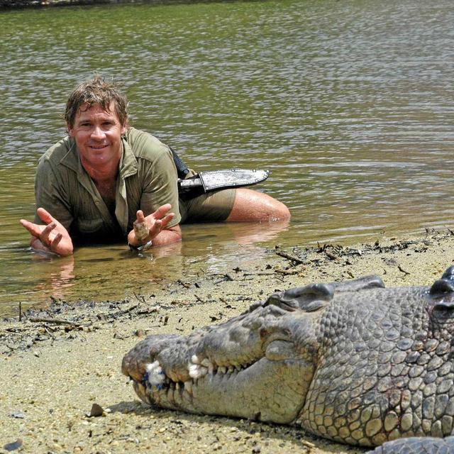 Crocodile Repellant