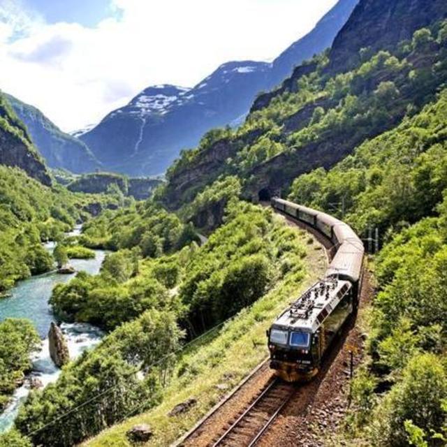 Train tickets (between cities)