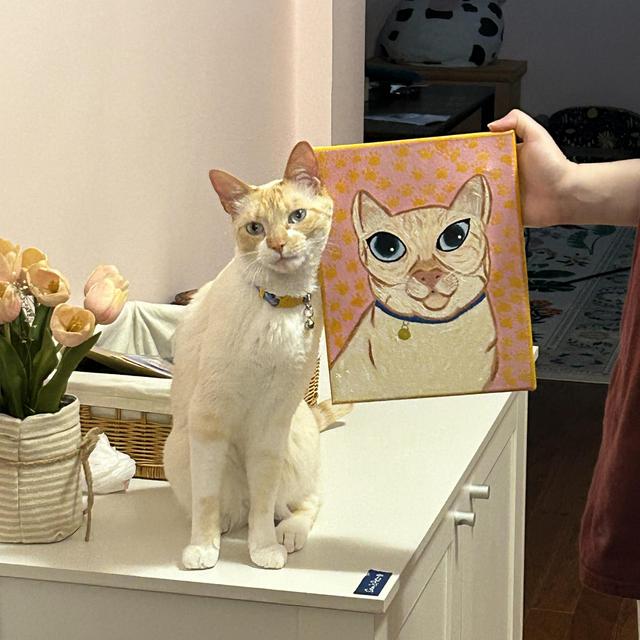 Cat Sitter for Honeymoon