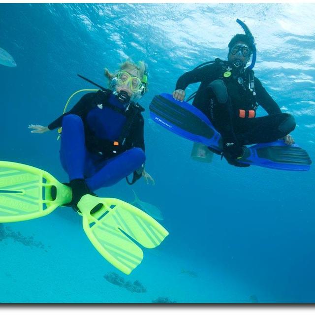 PADI Digital Courses
