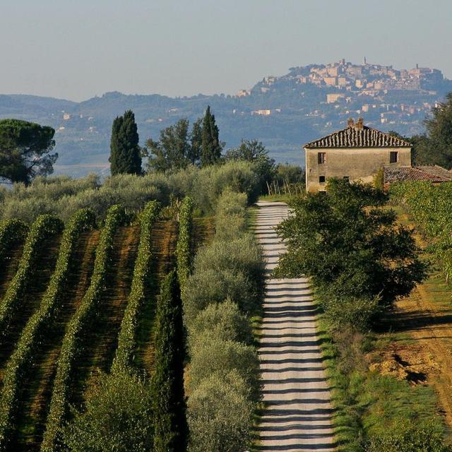 Wine Tours in Tuscany