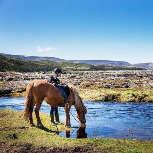 Iceland Horseback Riding Excursion to Irafoss