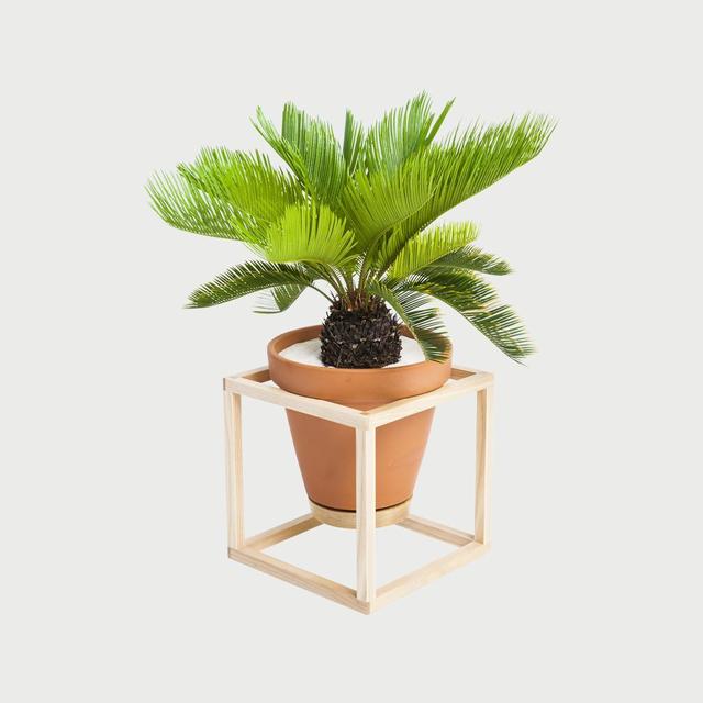 Frame Planter Cube