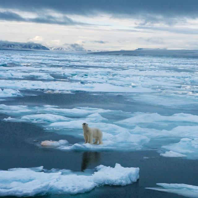 Charity: http://www.sealegacy.org