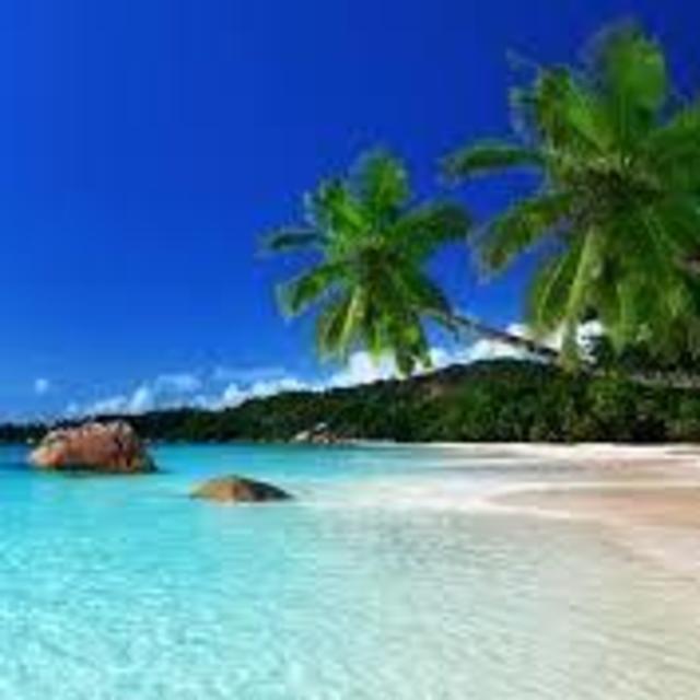 Honeymoon Fund