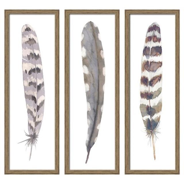 Wall Art: Framed 3-Pack Feathers