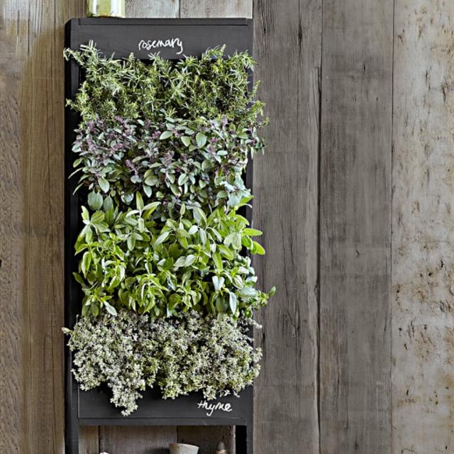 Free Standing Vertical Chalkboard Garden