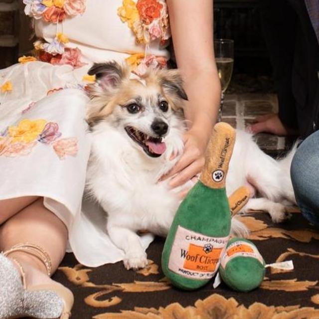 Year's Supply Of Pet Treats