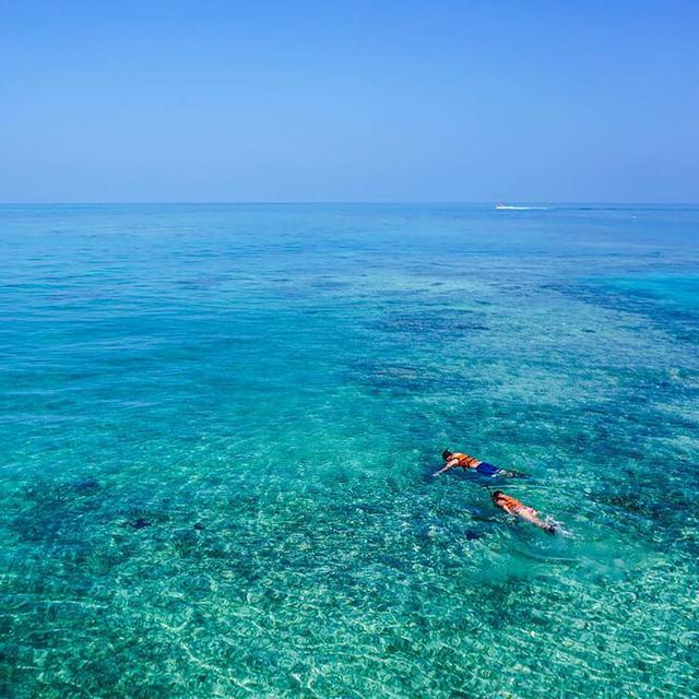 Snorkeling for two