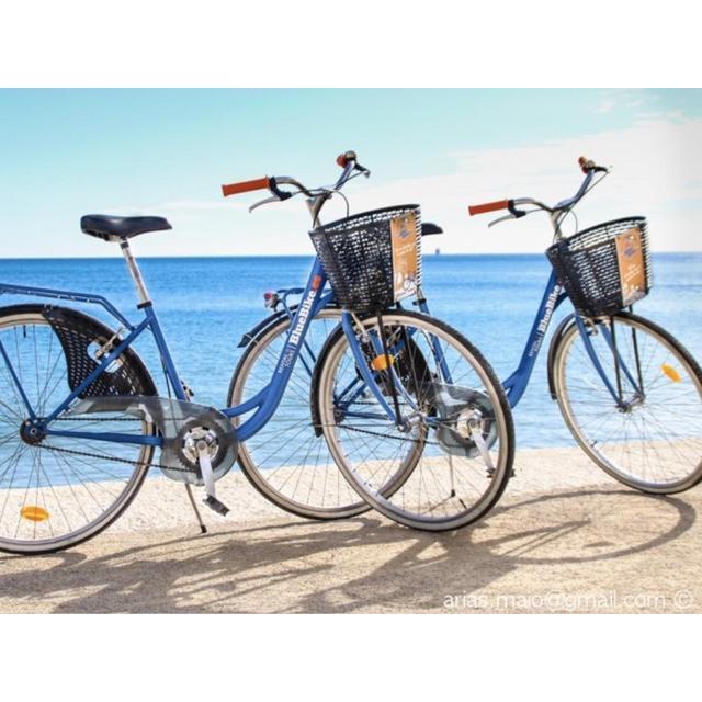 Bike rental