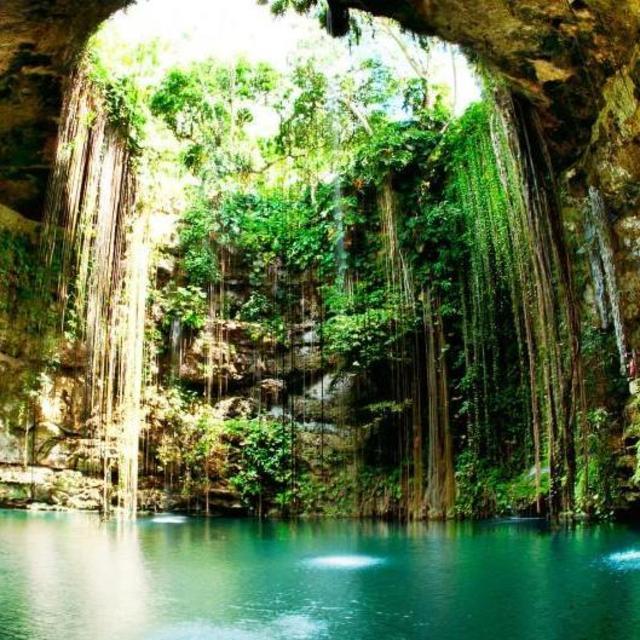 Jardin del Eden Cenote
