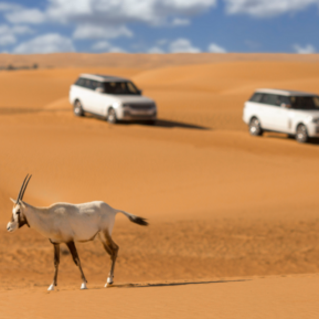 Dubai Desert Conservation Reserve - Guided Drive Tour