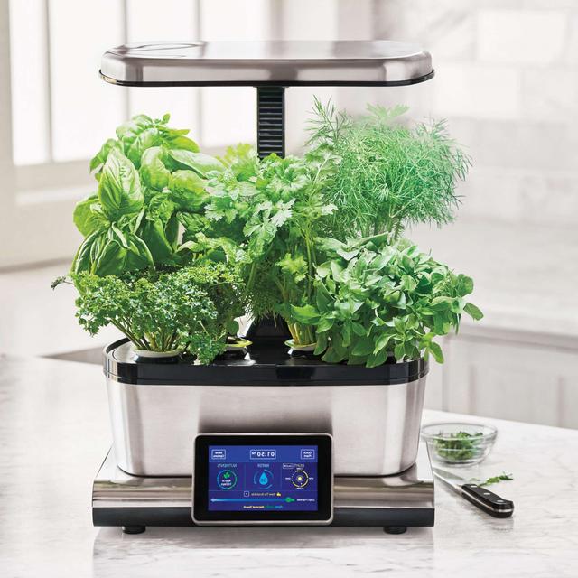AeroGarden Harvest Touch with Gourmet Herbs Seed Pod Kit