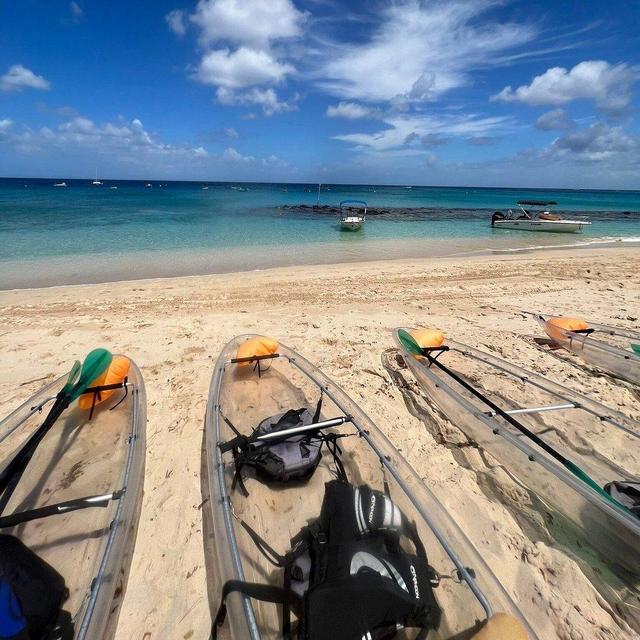 Folkestone Coral Reef Clear Kayak Tour