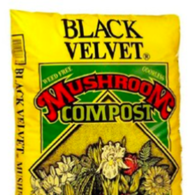 Oldcastle Black Velvet 40-lb Organic Mushroom Compost