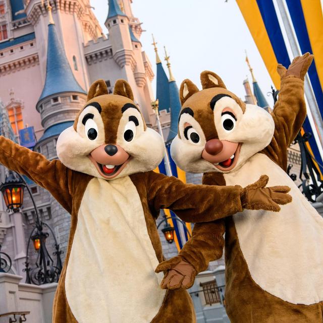 Our Disney Fund