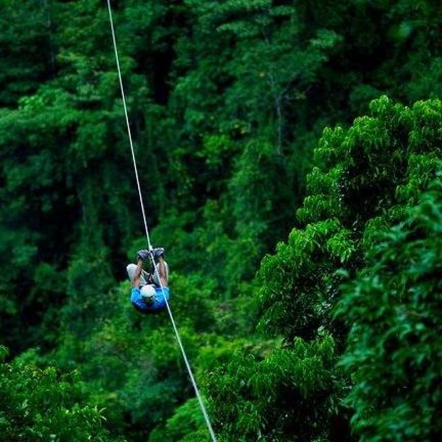 Mini-Moon: Sky Tram & Canopy Tour