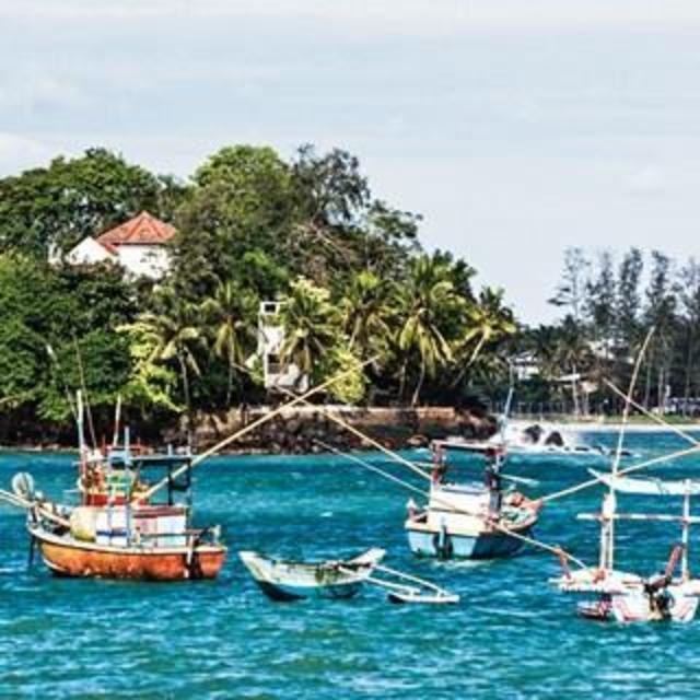 Send Yael and Scott to Sri Lanka!