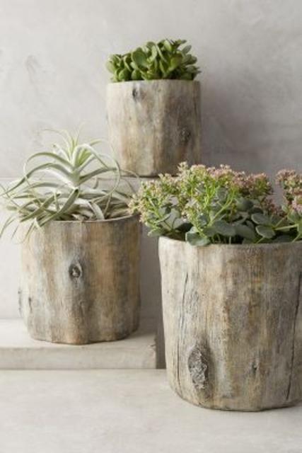 Anthropologie Tree Trunk Planter Set
