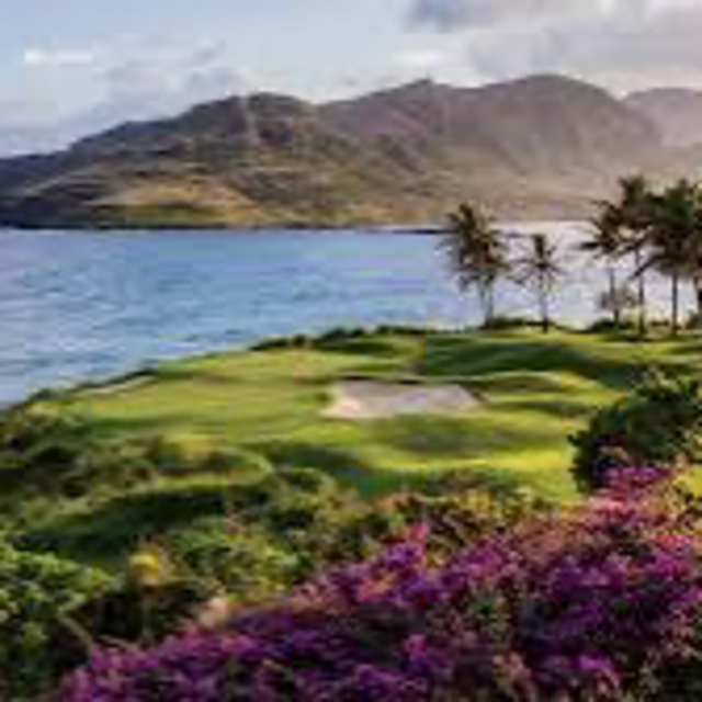 Honeymoon Golf Round