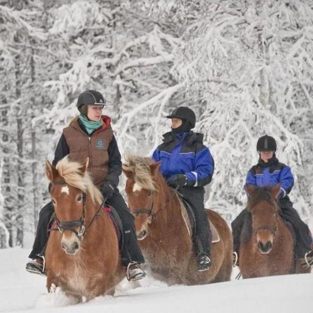 Finland Horseback Riding