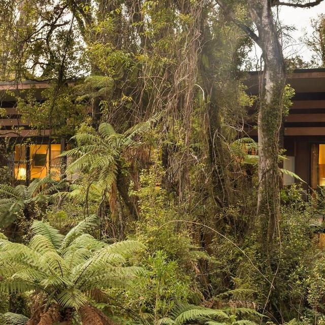 Glacial Forest Retreat