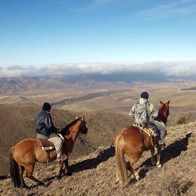 Horseback Riding in Mendoza