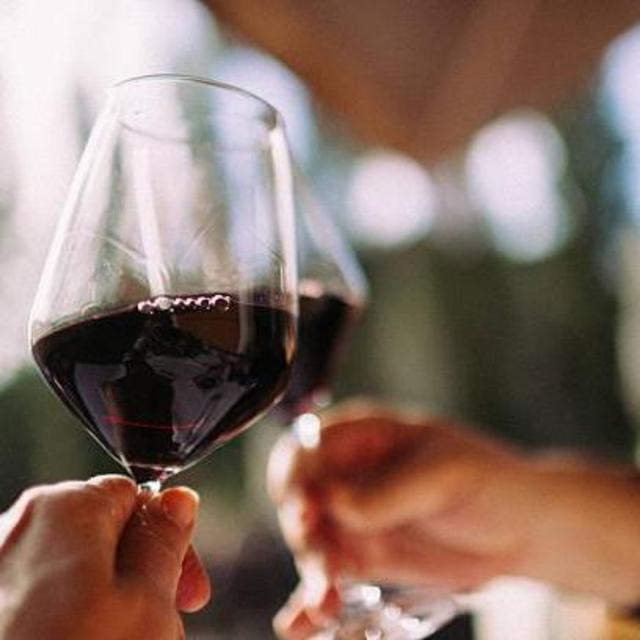 Wine Tours in Mendoza