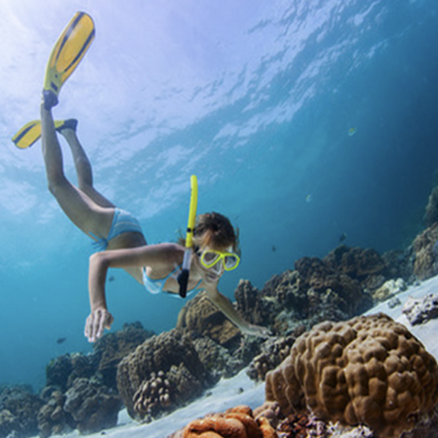 Snorkeling off Vieques Island